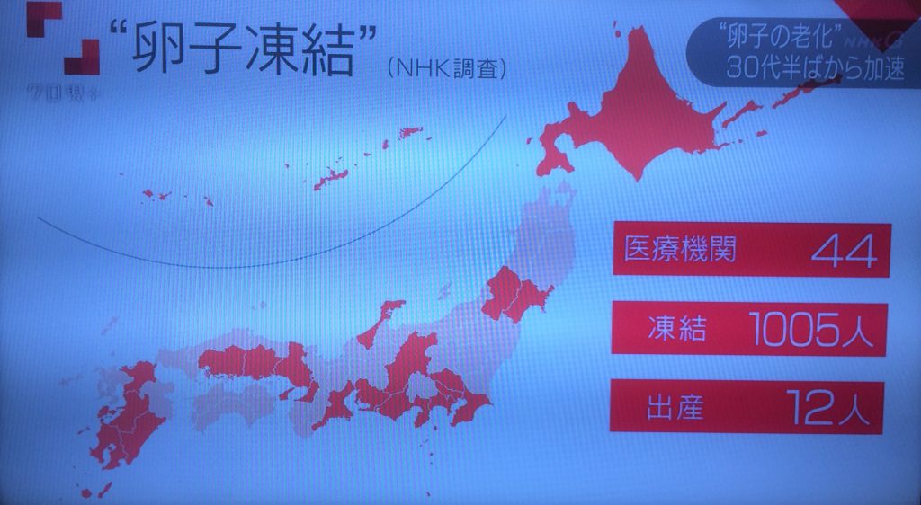 卵子凍結